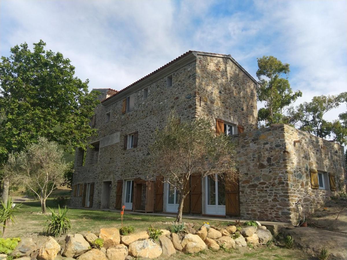 Hotel Mulinu Biancu Poggio-d'Oletta Esterno foto