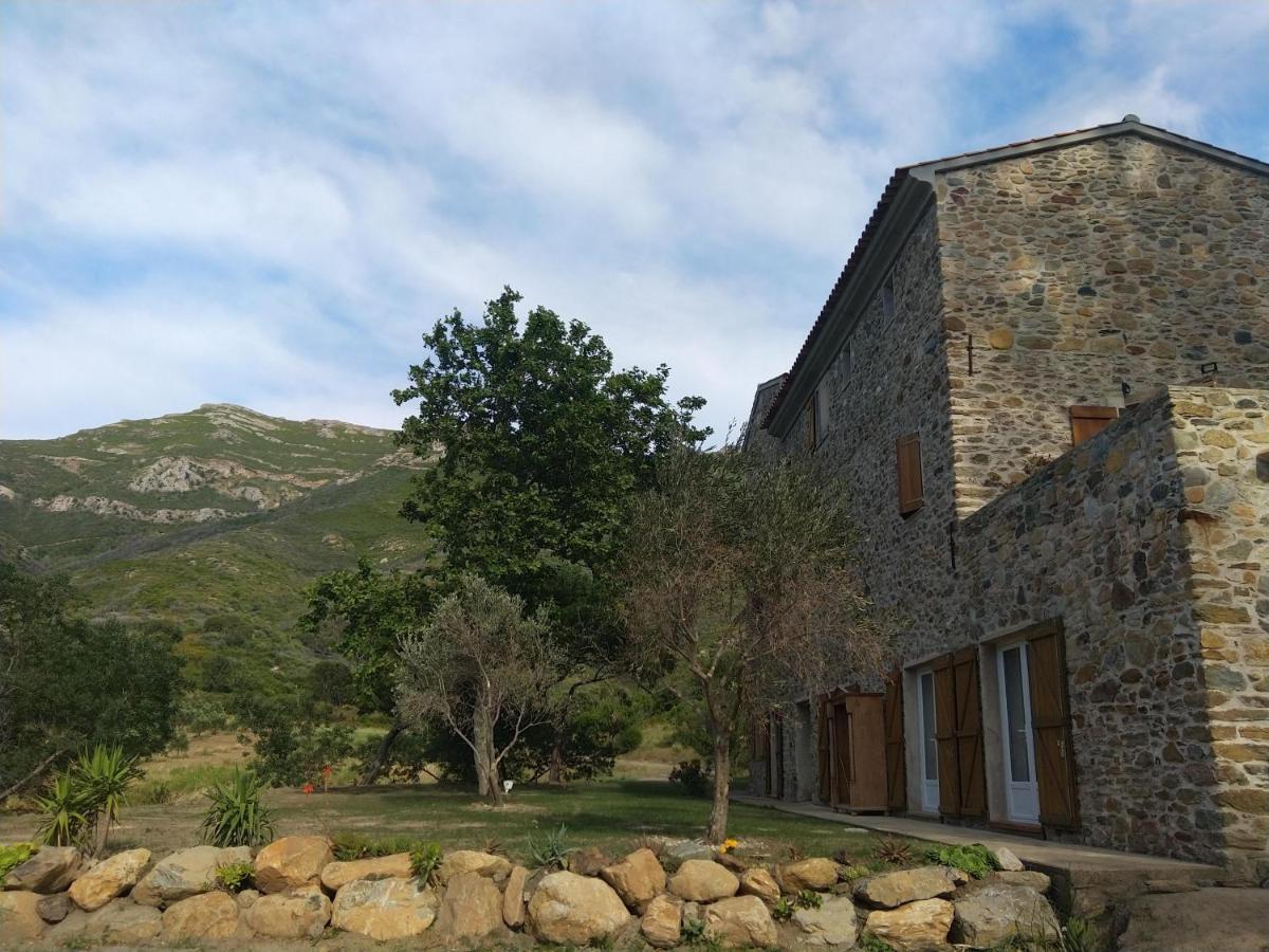 Hotel Mulinu Biancu Poggio-d'Oletta Esterno foto